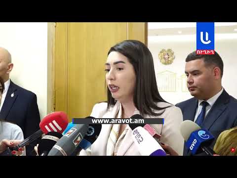 Եթե կա բռնության դրվագ, այդ դրվագով գնալու ենք առաջ․ Արփինե Սարգսյան