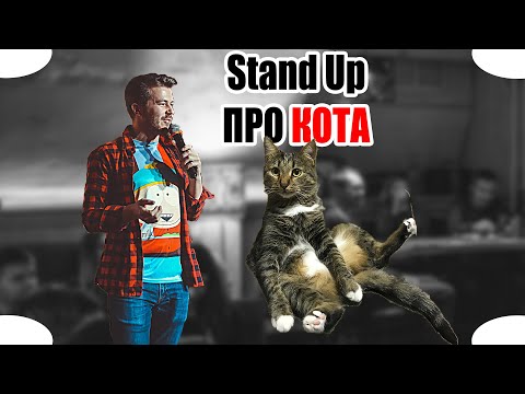 Video: Stand-up Nədir