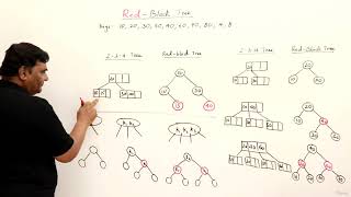 005 Red Black Trees vs 2 3 4 Trees