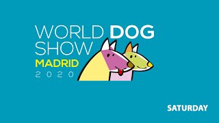 WORLD DOG SHOW 2020 - MADRID 2022 - SATURDAY