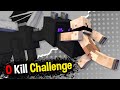 Most Epic Challenge in Minecraft, But...