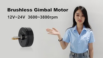 Brushless pancake-style gimbal motor 12v BO4316 -Constar