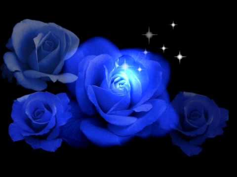 Синие розы сериал