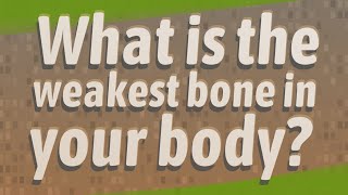 What is the weakest bone in your body?
