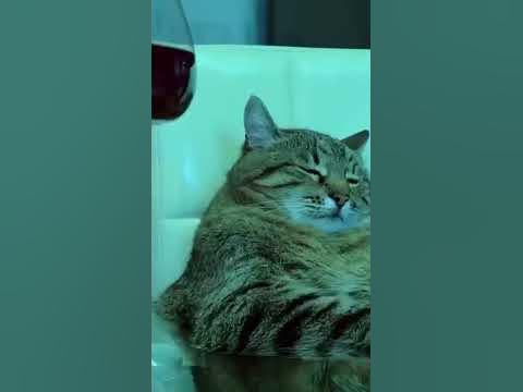 На чиле😃 - YouTube