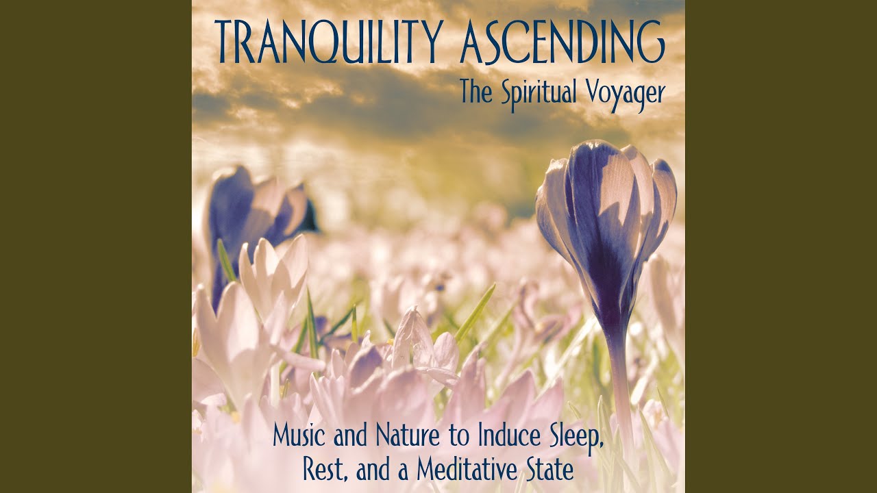 Finding Wisdom in Wildlife