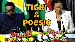 Download Lagu Tigri en Poes MP3 Download Lagu Tigri en Poes MP3