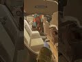 HOA is Reddit Modding For IRL