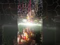 Ganpati bappa morya