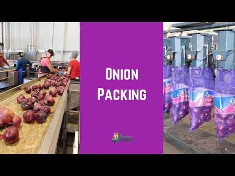 Red Onion Bag – Peters Market Inmate Delivery Services