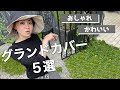 ワンランク上のおしゃれでかわいいグランドカバー5選
