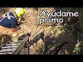 Perros salvados de morir por los bomberos 🚒