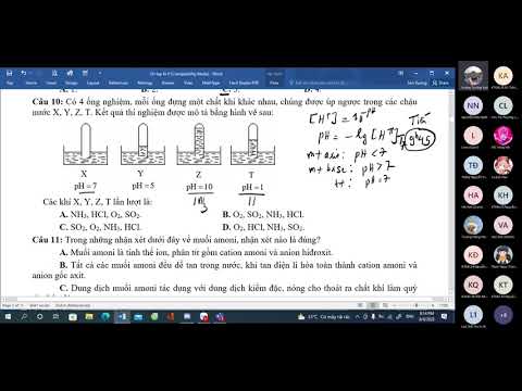 Video Video on tap N P Lop 10 4 8 - youtube
