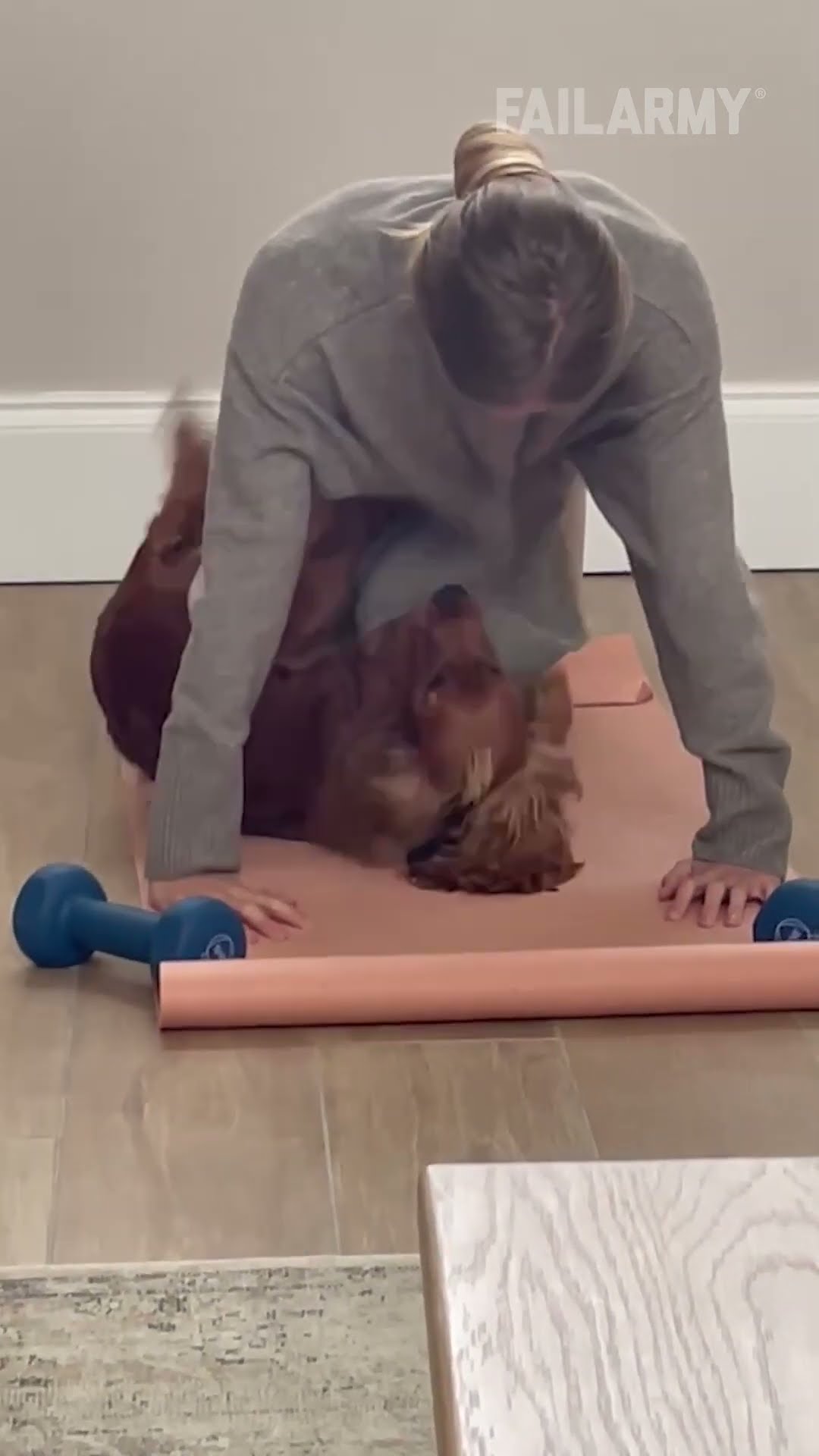 doggo just wants to get some reps in ?