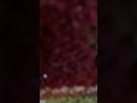 مشاركة الزعيبي ابو سلطان مع فرقة خالد شينان حفل الثمامه 