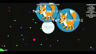 #5 Teaming with Randomers l Trick Split l Teaming on Agar.io