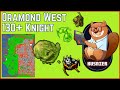 Oramond West | 130+ Knight | Tibia