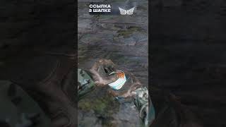 За СКОЛЬКО ты умрёшь DayZ не двигаясь #dayz #dayzbase #dayzbasebuilding #игры #dayzgamers #memes