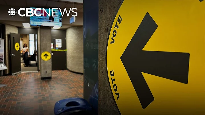 Many Albertans still undecided heading into municipal election