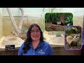 Me pregunto - ¿Que es la conservación?