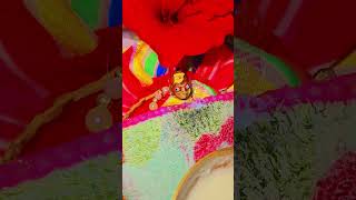#ladoogopalvlogs #ladugopalkibhakti #ladoogopalstatus#laddugopalsevavideos#youtubeshorts#laddushorts