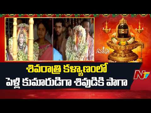 Srisailam: శివరాత్రి కళ్యాణంలో పెళ్లి కుమారుడిగా శివుడికి పాగా | Special Report | NTV Telugu - NTVTELUGU