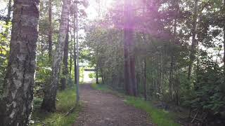 How can I learn to use docs instead of tutorials? Profile