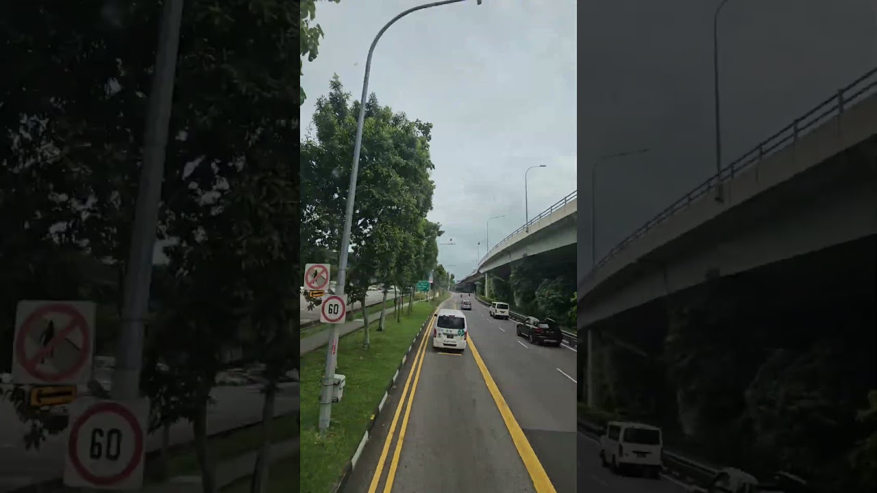 Singapore’s Traffic Perfection 🚦✨ No Jams, Just Smooth Rides!