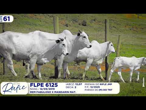LOTE 61   FLPE 6125  EPCO 187