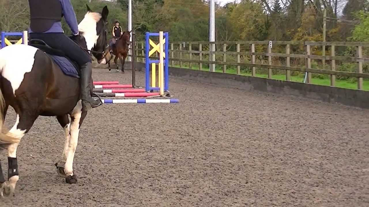 Show jumping Clinic YouTube