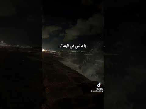 ويجز ومحمد منير كلام فرسان ويجز حالات واتس اكسبلور ترند منير