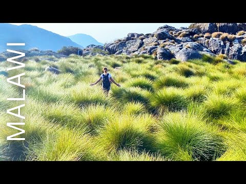 Epic 5-Day Adventure Hike on Malawi's Highest Mountain | Mount Mulanje