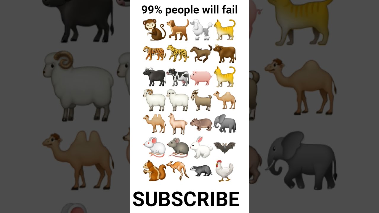 99 People Will Fail To Find The Answer MrBeast Shorts Viral Trending Song Trendingsong