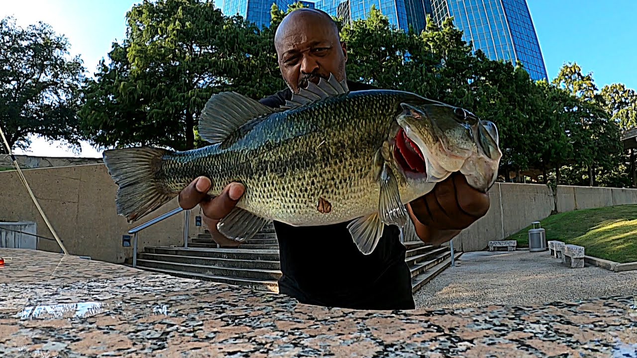 5lbs or Bigger 🤔 #fishing #fishing