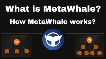 Full Explanation on how MetaWhale works