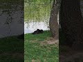 Твори Добро!