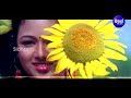 Mun Bijuli Mun Barasha - Superhit Odia Film Song | ମୁଁ ବରଷା | Nibedita | Archita | Sidharth Music Mp3 Song
