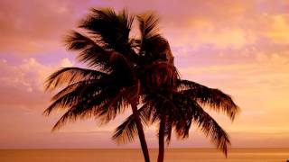 Video thumbnail of "Crockett's Theme (Miami Vice Guitar Extended Remake)"