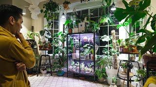 Most EXPENSIVE Pothos Ive Ever Seen..