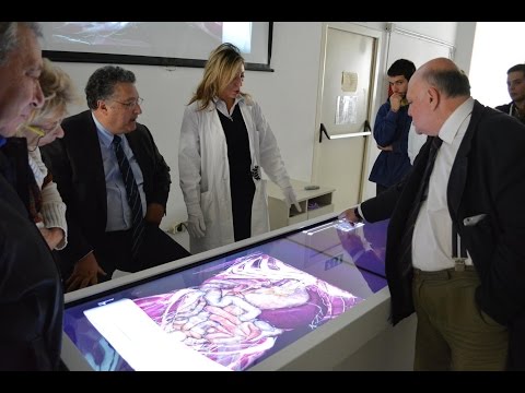 Video: Chi ha sezionato i cadaveri umani per studiare l'anatomia?