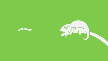 Freedom #2: Providing proper nutrition