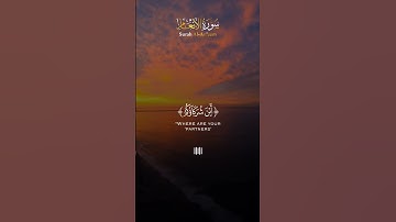 - تلاوة شجية للشيخ محمد أيوب من سورة الأنعام ( ومن أظلم ممن افترى على الله كذبا )🌹