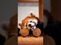 Datos de Animales que te Van a Gustar