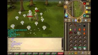[2012] Nicks 508 RSPS ~ Spawn ~ Pk ~ Skill 1080p!