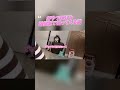 【確信犯でご飯を狙う猫】#shorts #保護猫