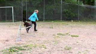 Mija Rasken Push-Serp 2