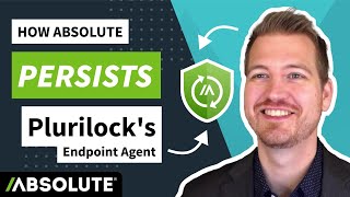 Famous Application Persistence-as-a-Service Persists Plurilock's Endpoint Agent Net Worth