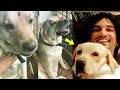 Ankita Lokhand Shares Dog HATCHI Cute Video During Ganpati | Sushant Singh Rajput FIRST Dog Video