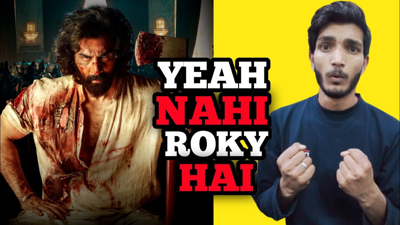 Animal Day 6 Worldwide Box Office Collection | Animal Box Office Collection 