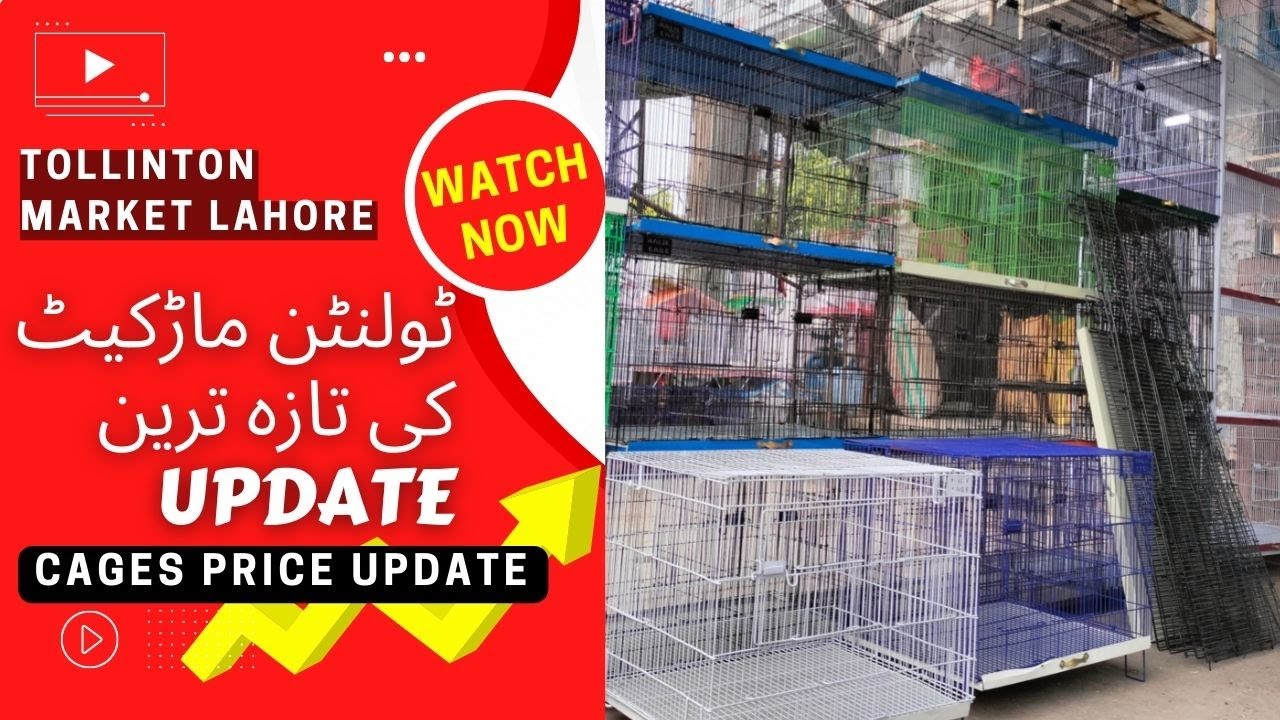 CAGES PRICE UPDATE TOLLINTON MARKET LAHORE 27/7/2022 ALI BHAI